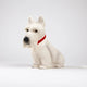 Egmont Toys Scotty The Dog Night Lamp