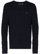 Polo Ralph Lauren Pullover