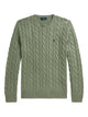 Polo Ralph Lauren Pullover