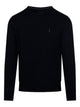 Ralph Lauren Wool Crewneck Sweater