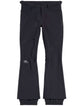 Balenciaga 3B Sports Icon Ski Pants