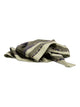 Gucci Stirix Silk Scarf