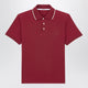 Saint Laurent Bordeaux Cassandre Polo In Cotton Piqué