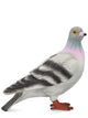 Jw Anderson Pigeon Clutch Bag