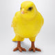 Jw Anderson Yellow Canary Resin Clutch