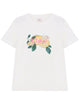 Chloé Printed Cotton T-Shirt