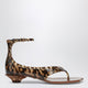 Chloé Jelly Sandals In Tpu With Leopard Print