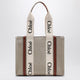 Chloé Woody Medium Bag In Beige Canvas