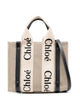 Chloé Woody Little Bag In Beige Canvas