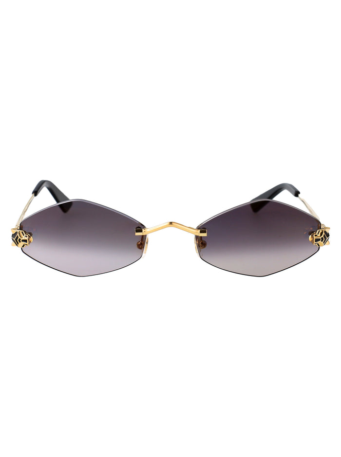 Cartier Cartier Ct0433s 001