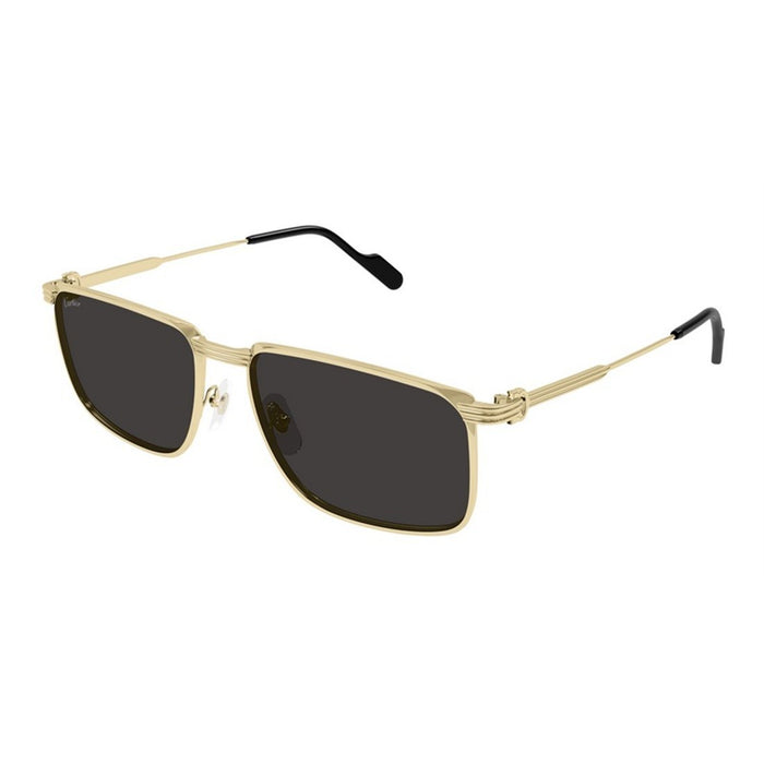 Cartier Cartier Ct0534s 001