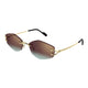 Cartier Cartier Ct0620s 005