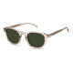 David Beckham Mud Acetate Sunglasses