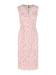 Dolce & Gabbana Pink Cotton Blend Dress