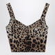 Dolce & Gabbana Leopardprint Bustier