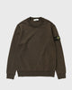 Stone Island Sweatshirt