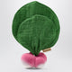 Oli&Carol Radish Mini Teether With Doudou