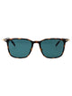 Montblanc Havana-Gold-Green Injection Sunglasses