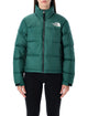 The North Face The North Face 1996 Retro Nuptse Down Jacket