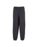 The North Face Redbox Sweatpant