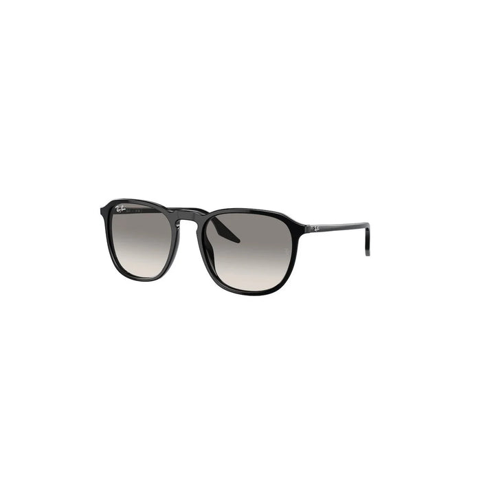 Ray-Ban Ray-Ban Rb2203 901/32