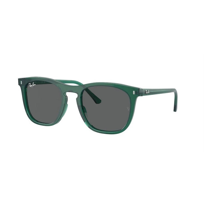 Ray-Ban Ray-Ban Rb2210 6615B1