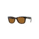 Ray-Ban Ray-Ban Folding Wayfarer Rb4105 710