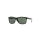 Ray-Ban Ray-Ban Rb4232 601/71