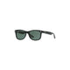 Ray-Ban Ray-Ban Junior New Wayfarer Rj9052s 100/71