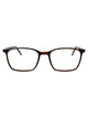 Saint Laurent Havana-Havana-Transparent Injected Glasses