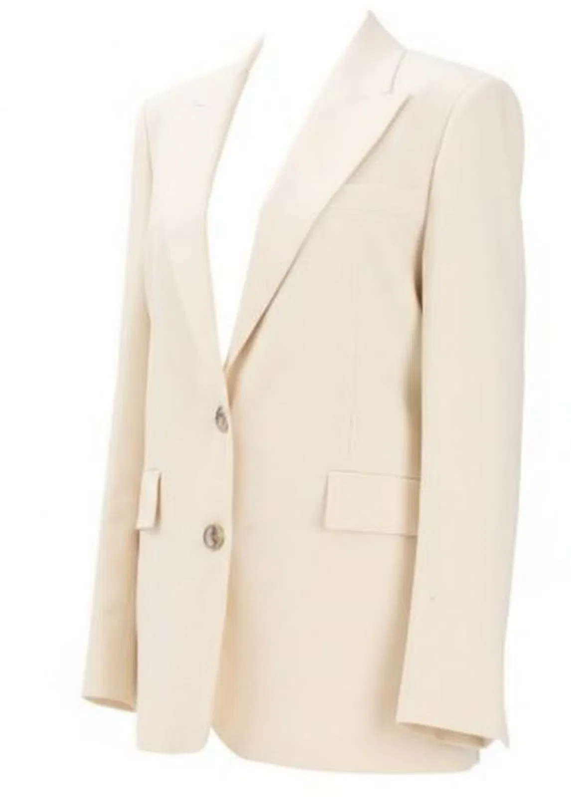 Pinko Single Breasted Jacket In Bianco Cigno
