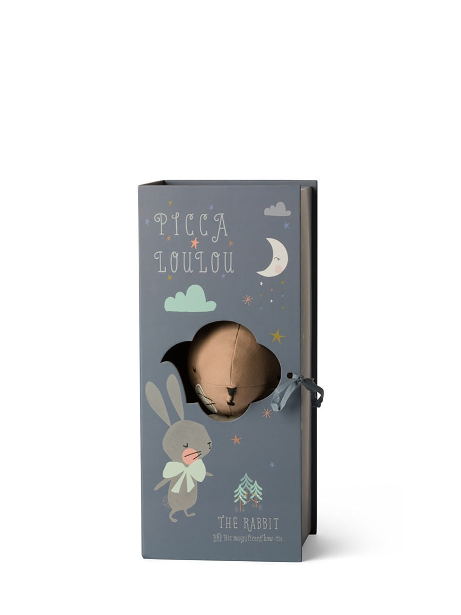Rabbit In Giftbox