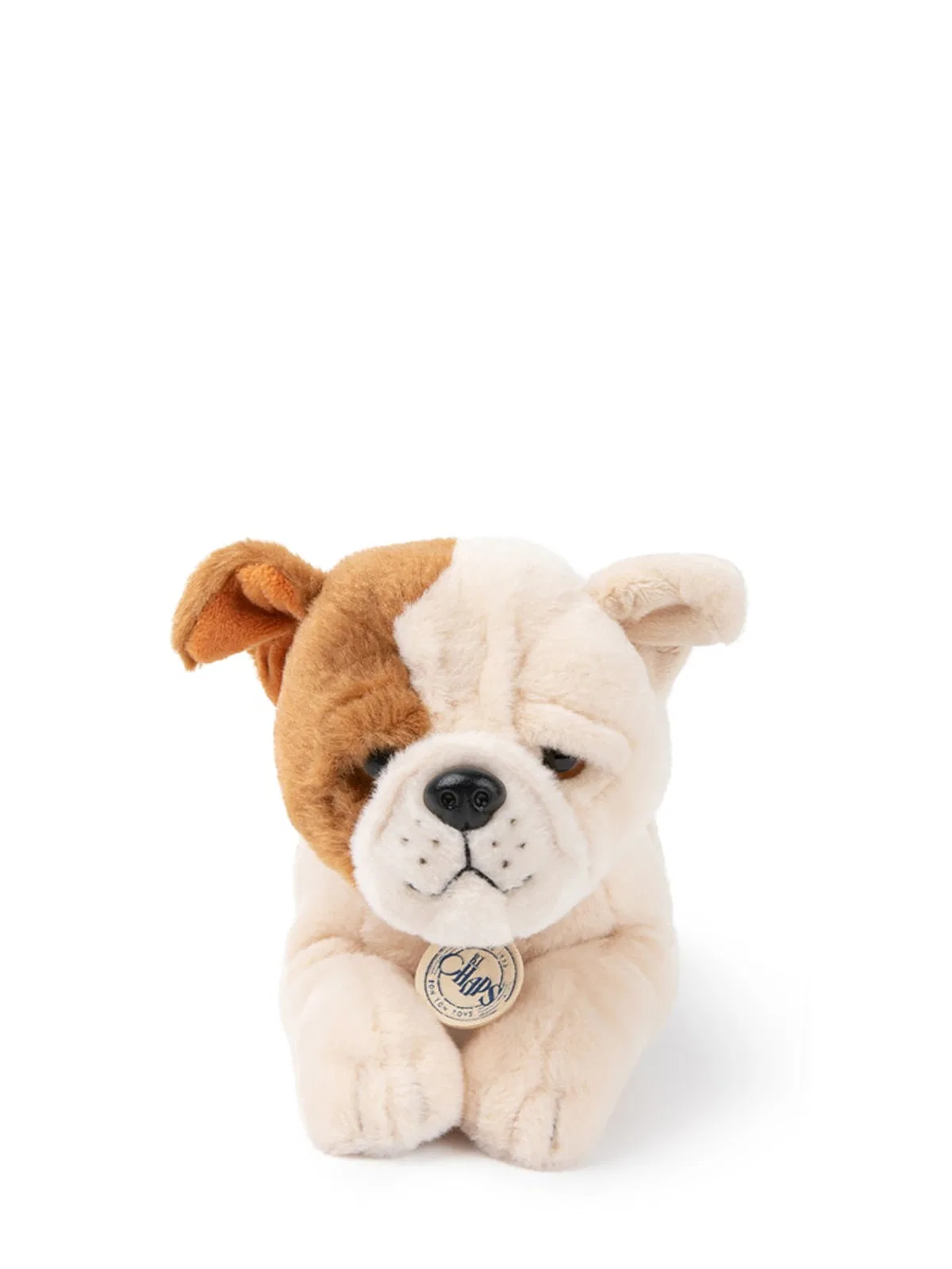 Bon Ton Toys The American Bulldog In Giftbox In Ivory