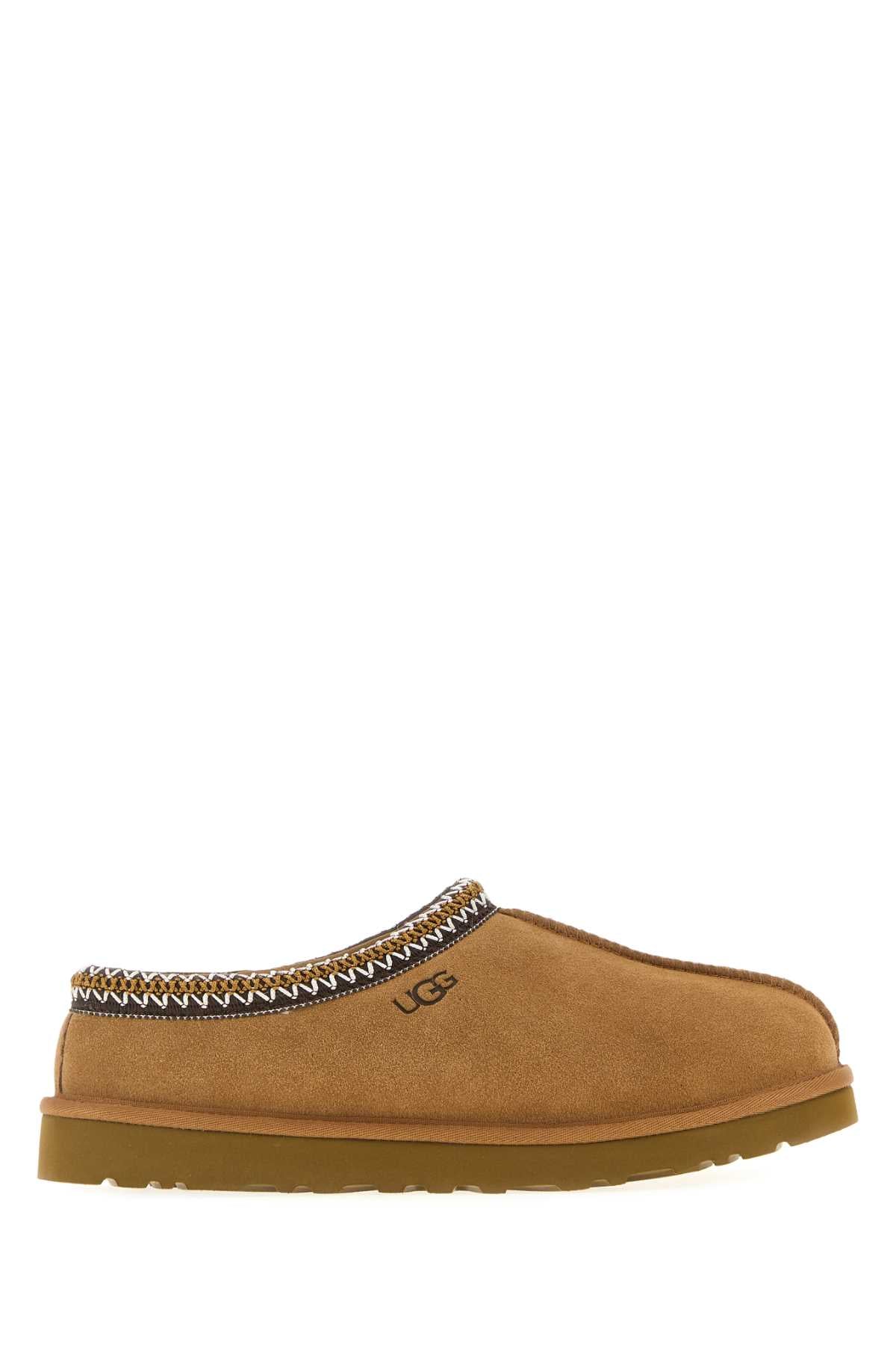 Tasman Ii - Suede Shoe