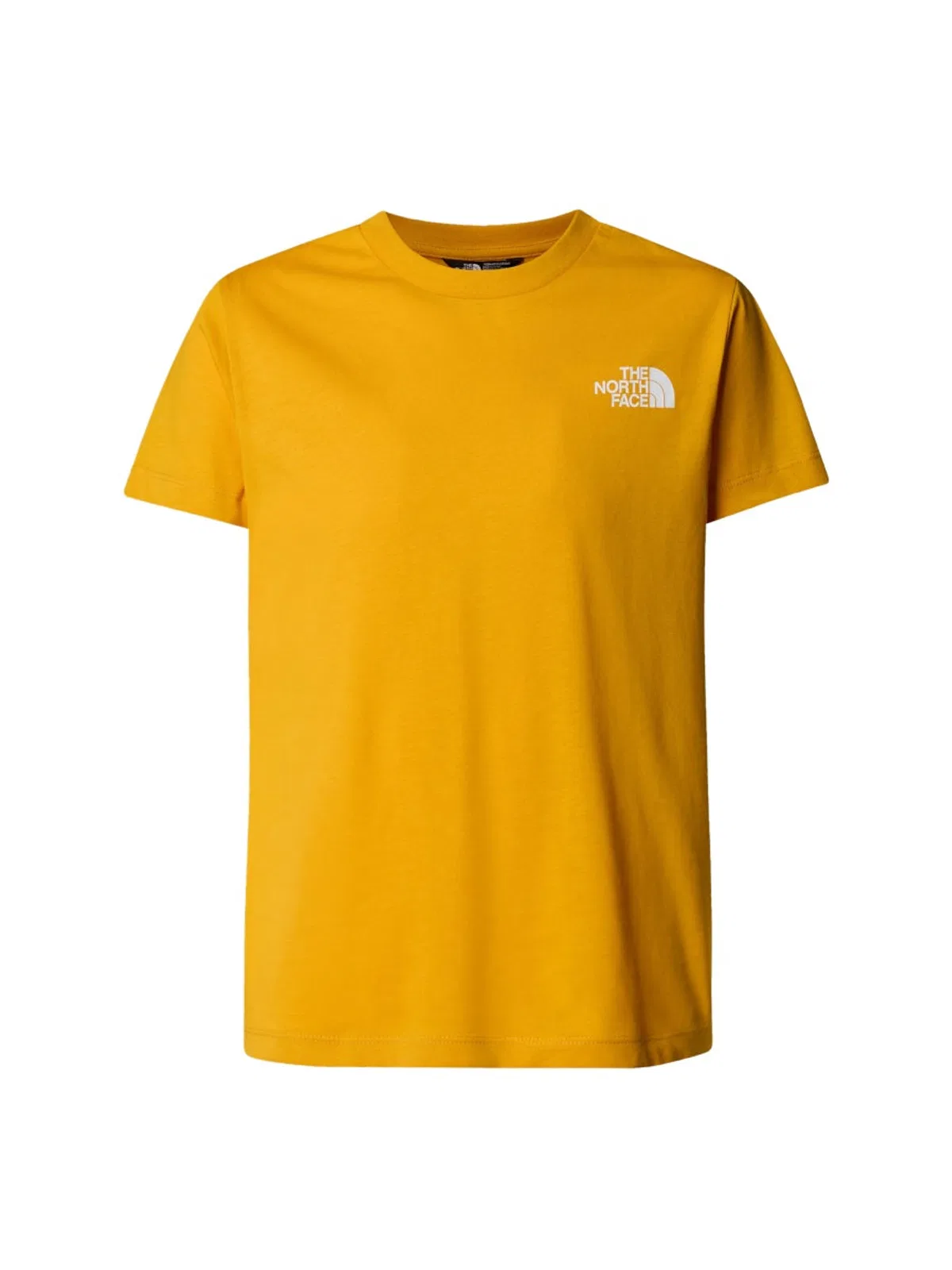 The North Face T-shirt With Logo In Multicolor