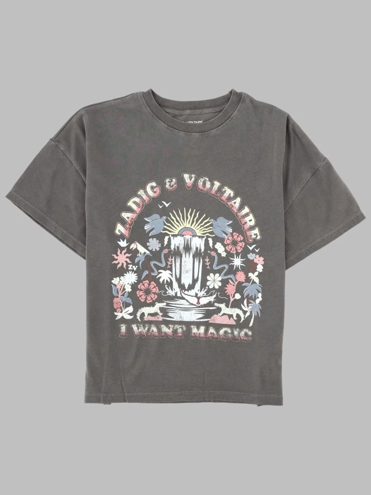Zadig&Voltaire Tee Shirt