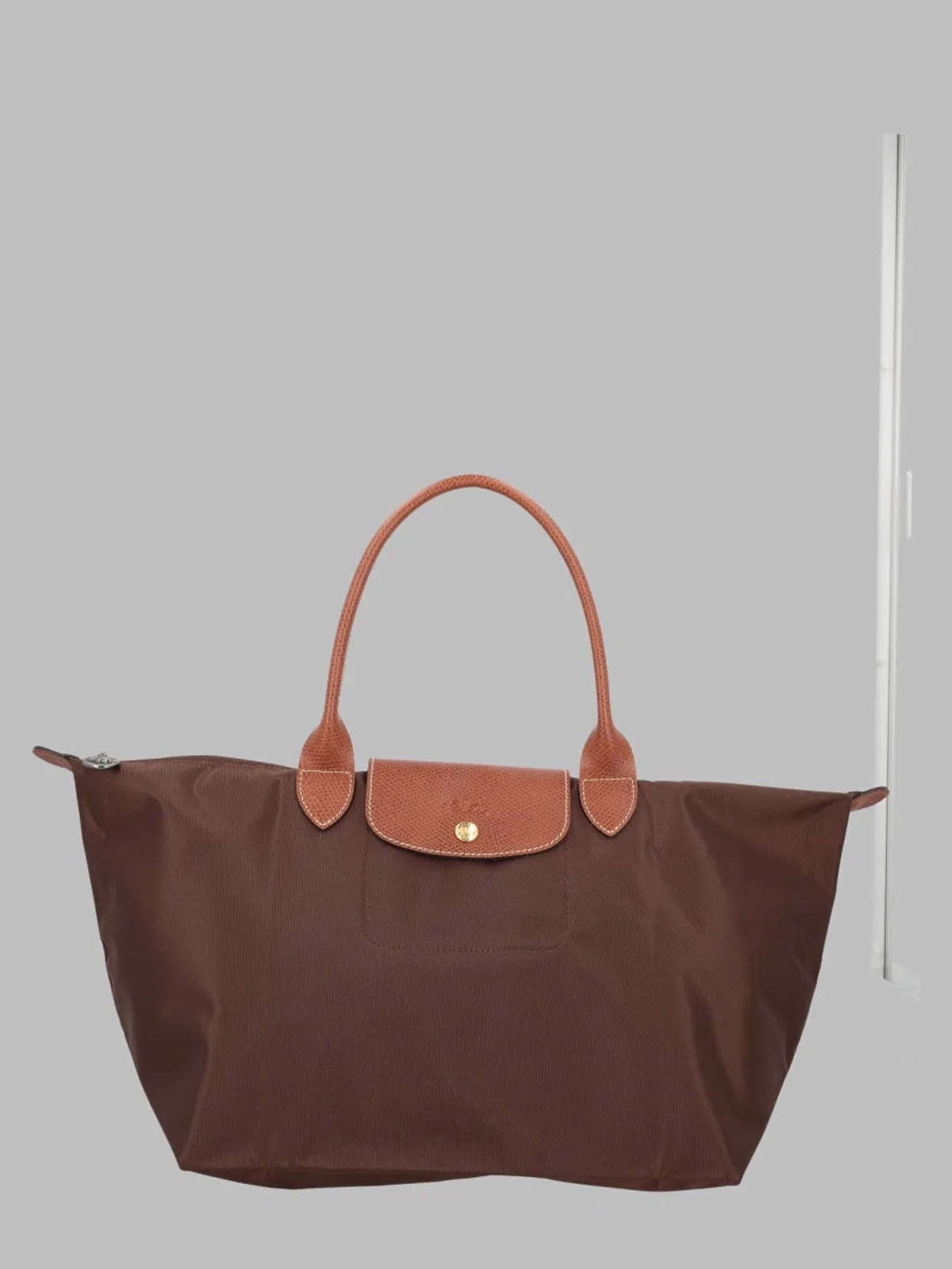 Longchamp In Brown