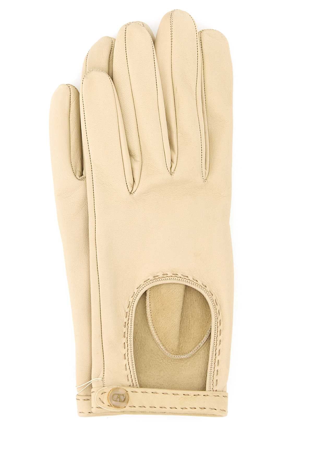 Driver Gloves (L.22cm) |