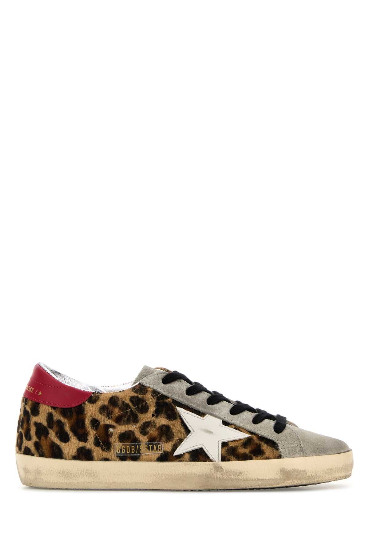 Super-Star Leopard Horsy