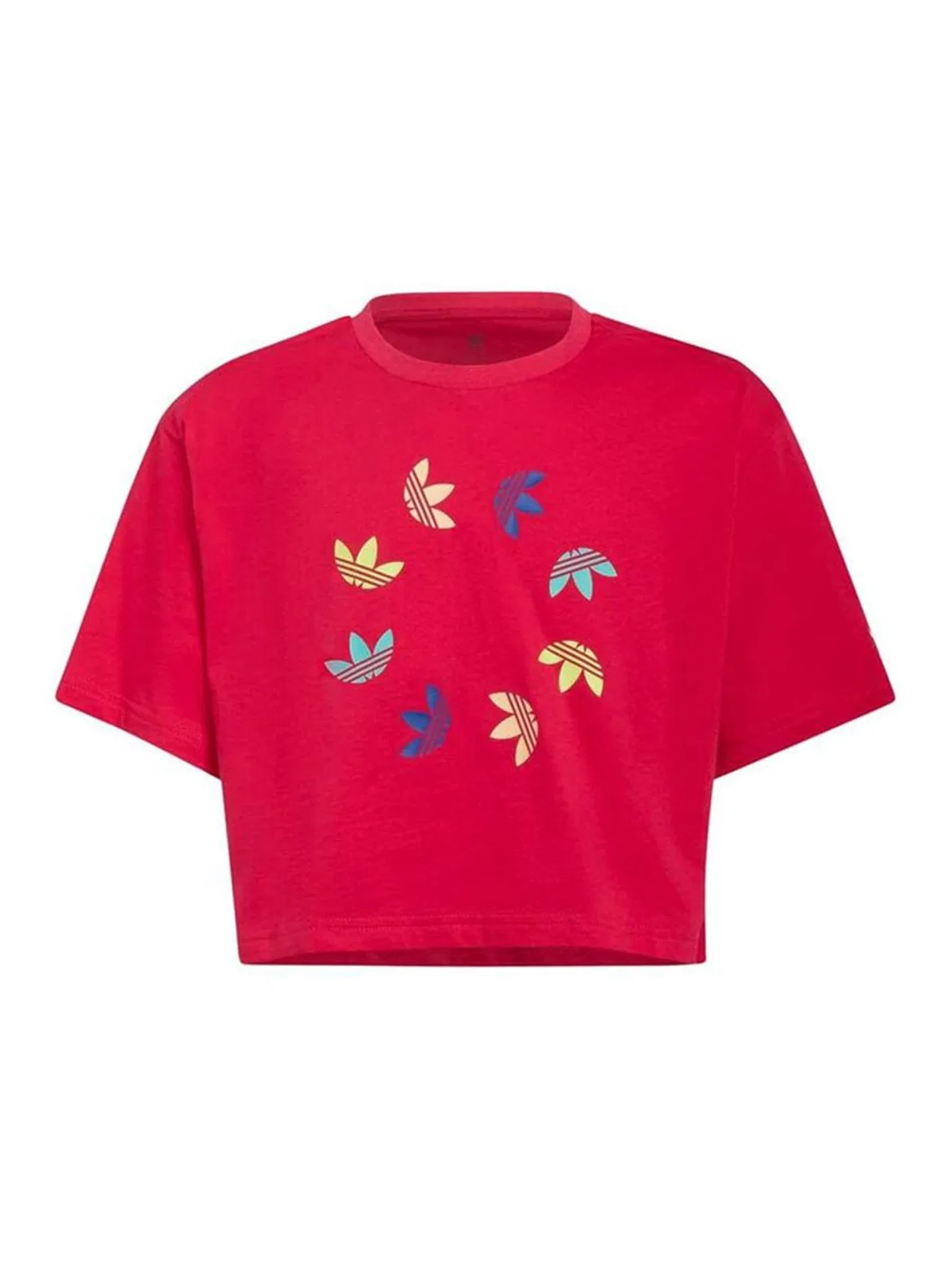 Cropped T-Shirt