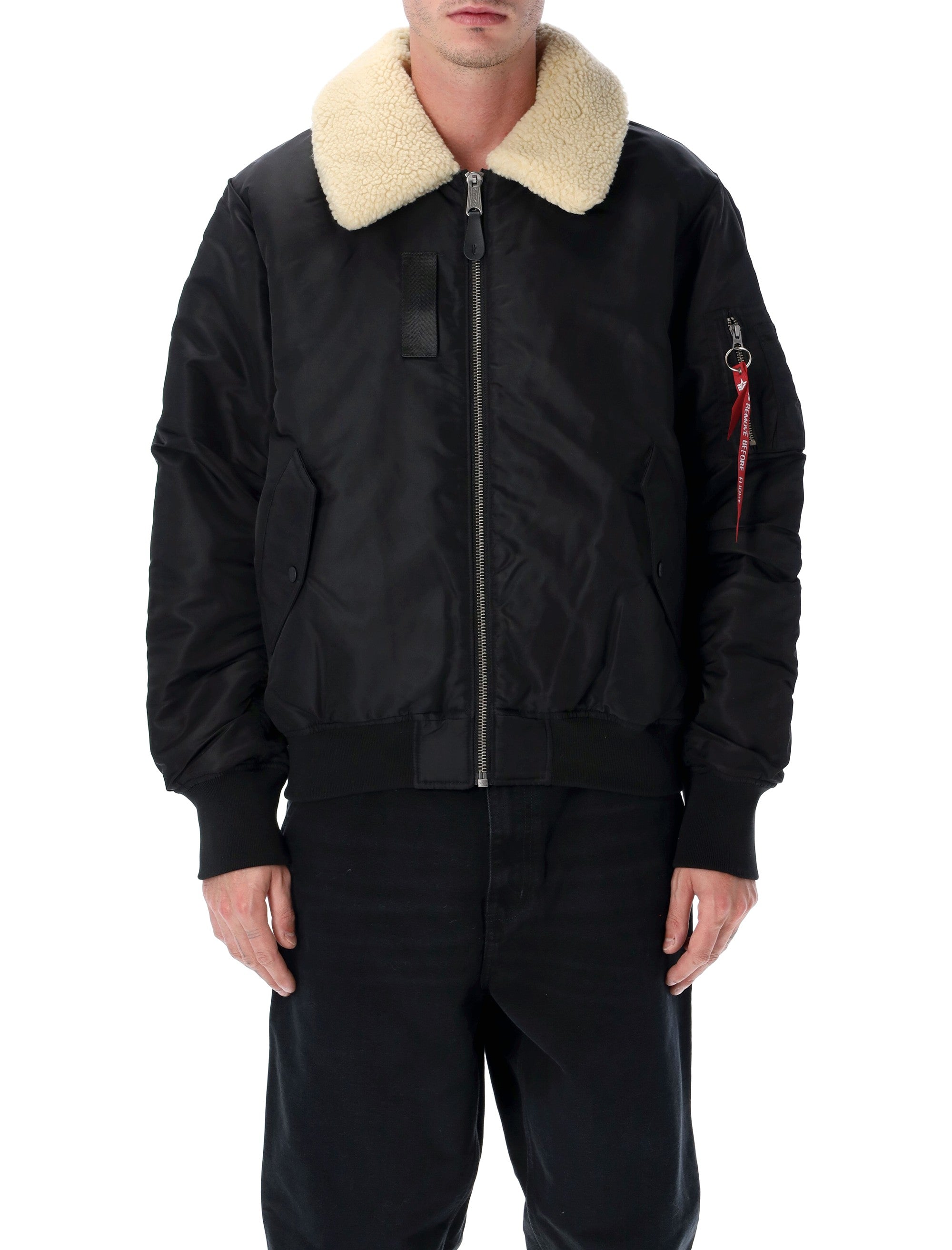 B-15 Mod Reversible Bomber