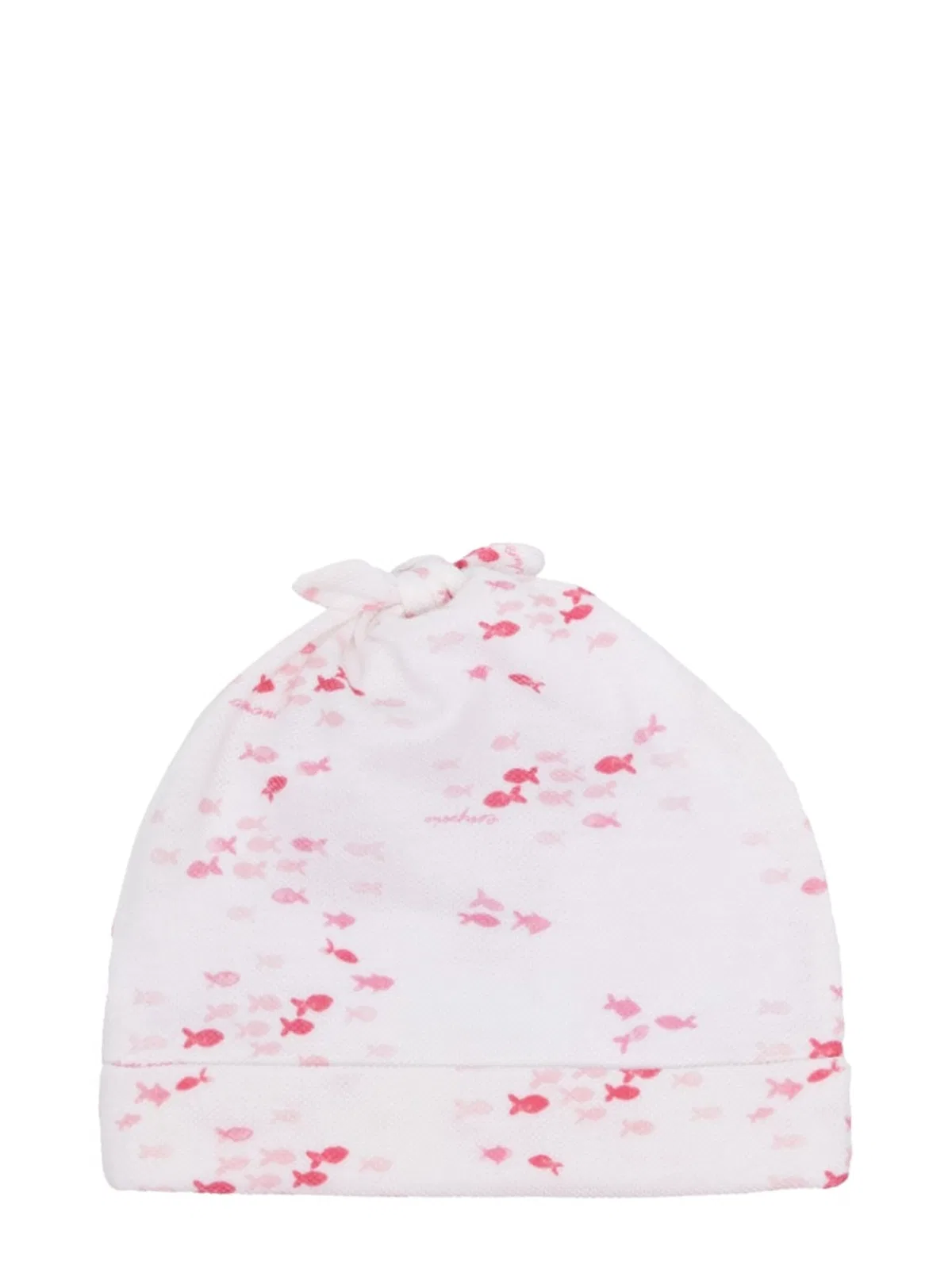 Beanie Fish