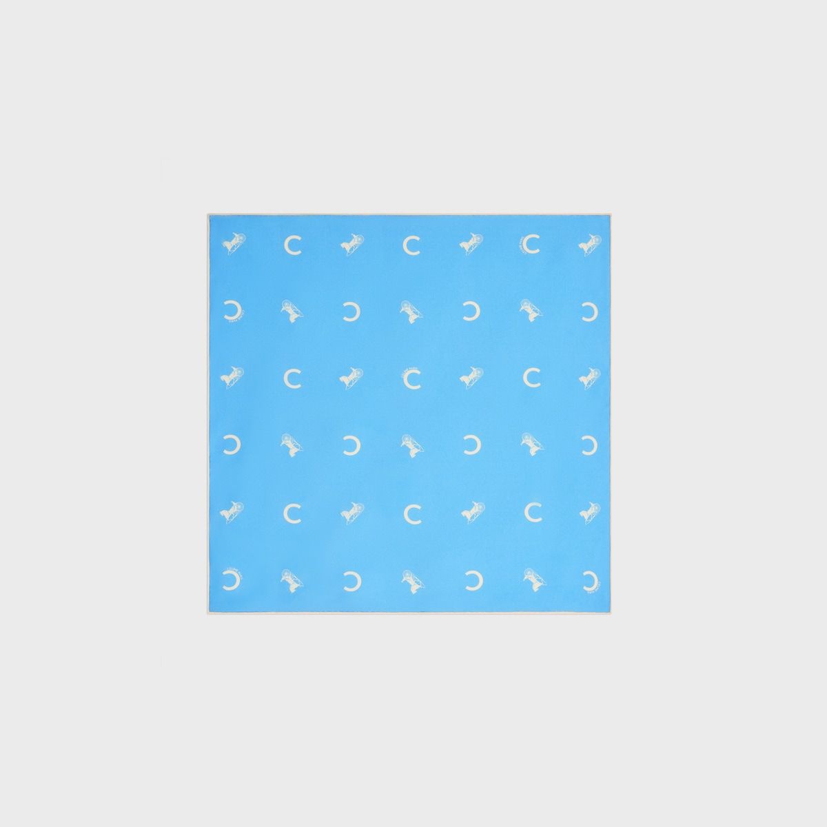 Sulky-Print Scarf