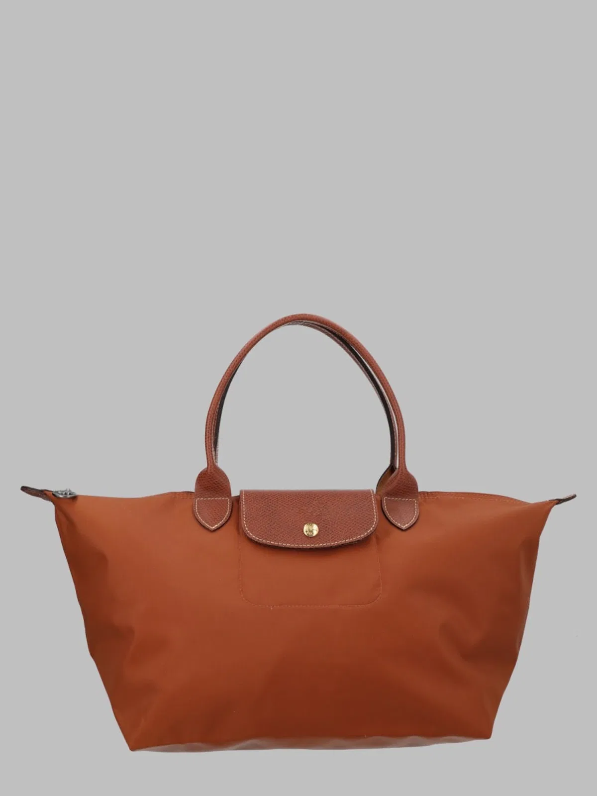 Longchamp In Brown