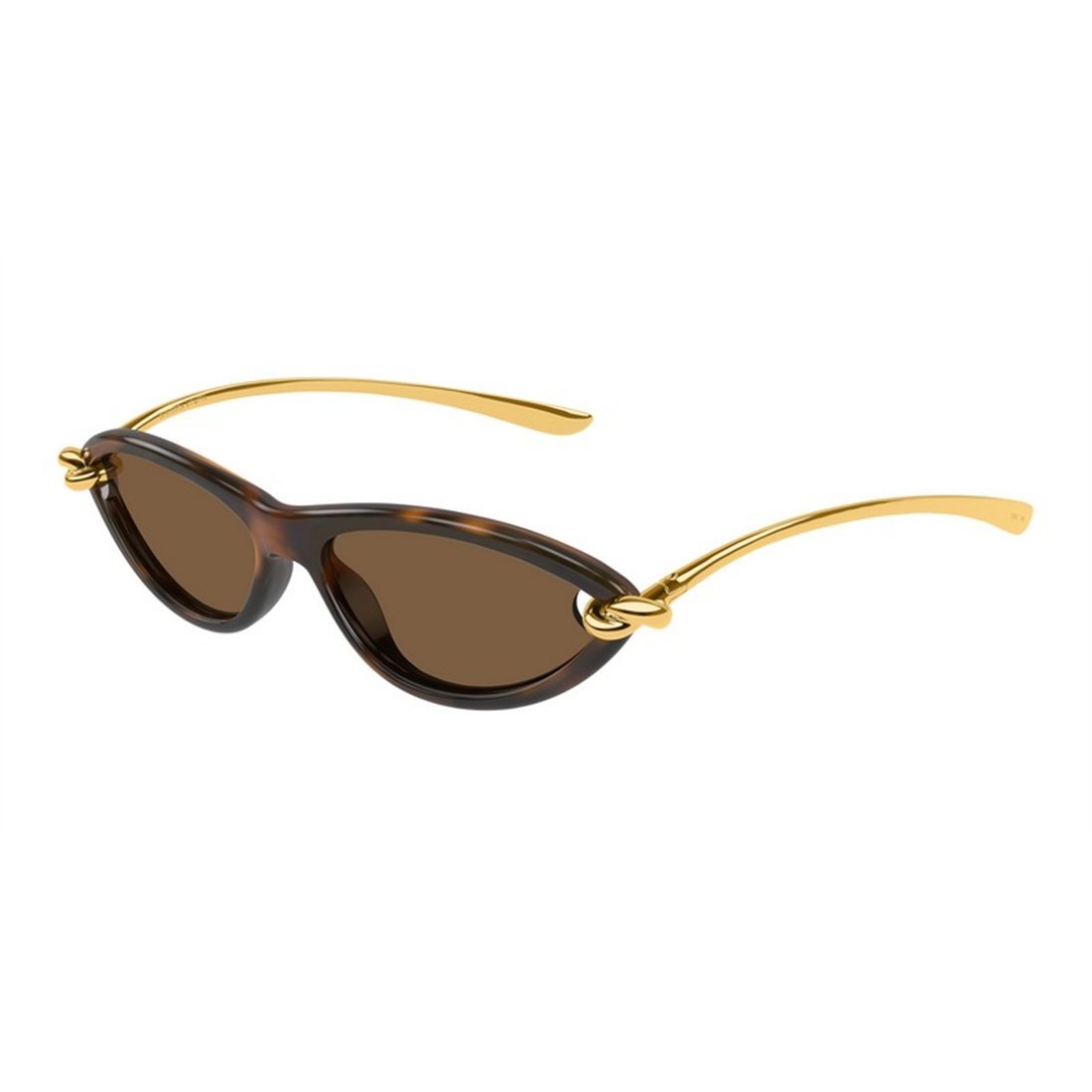 Havana-Gold-Brown Injectate Sunglasses