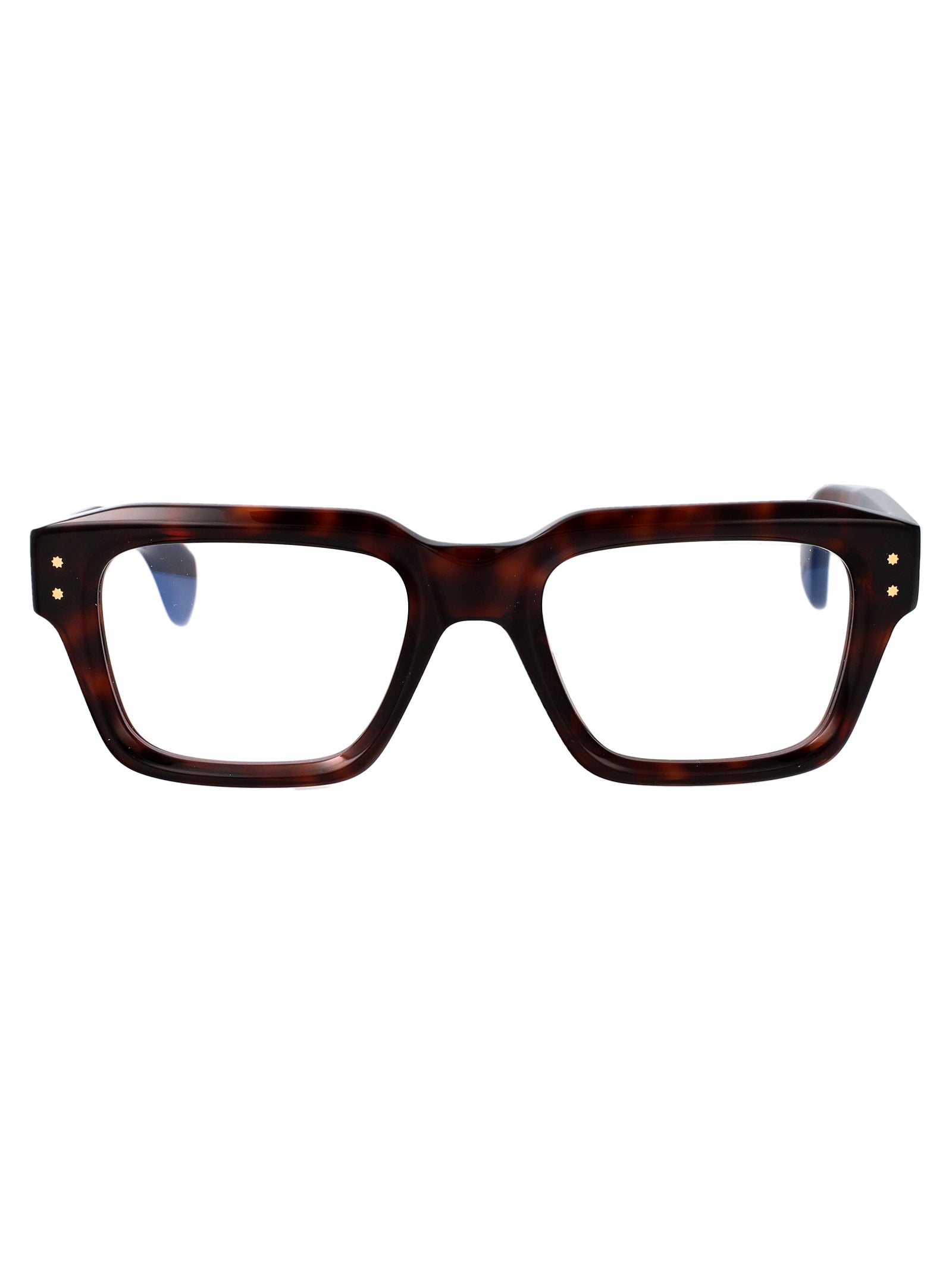 Dark Turtle Optical Acetate Glasses