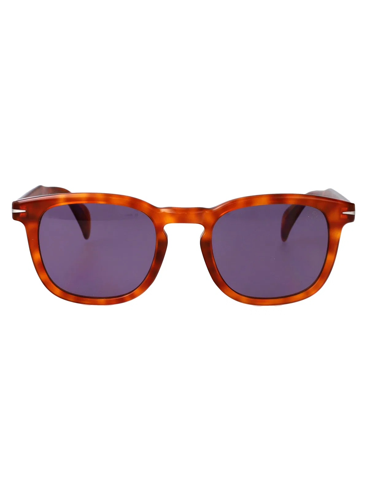 Brown Havana Acetate Sunglasses