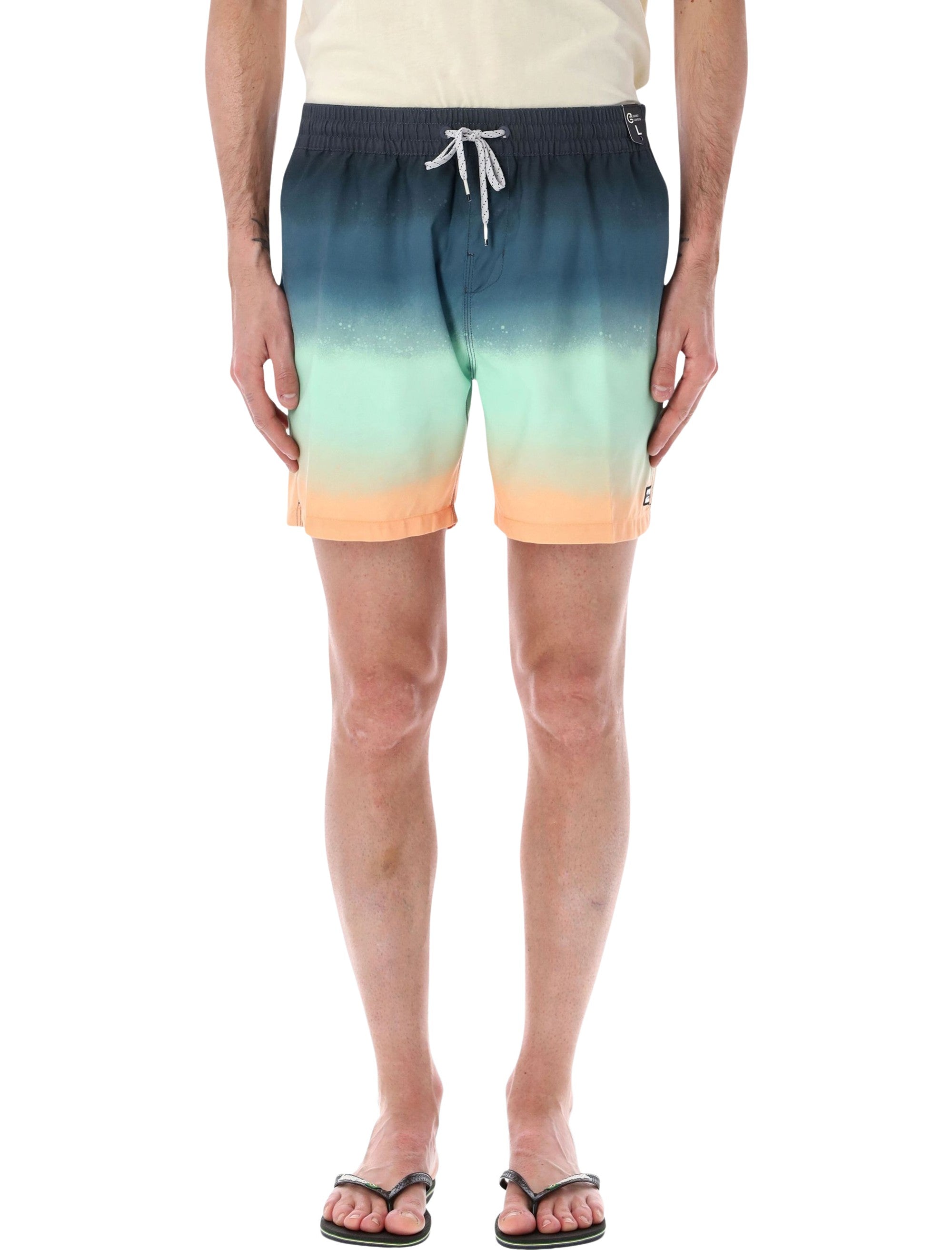 All Day Fade Boardshorts