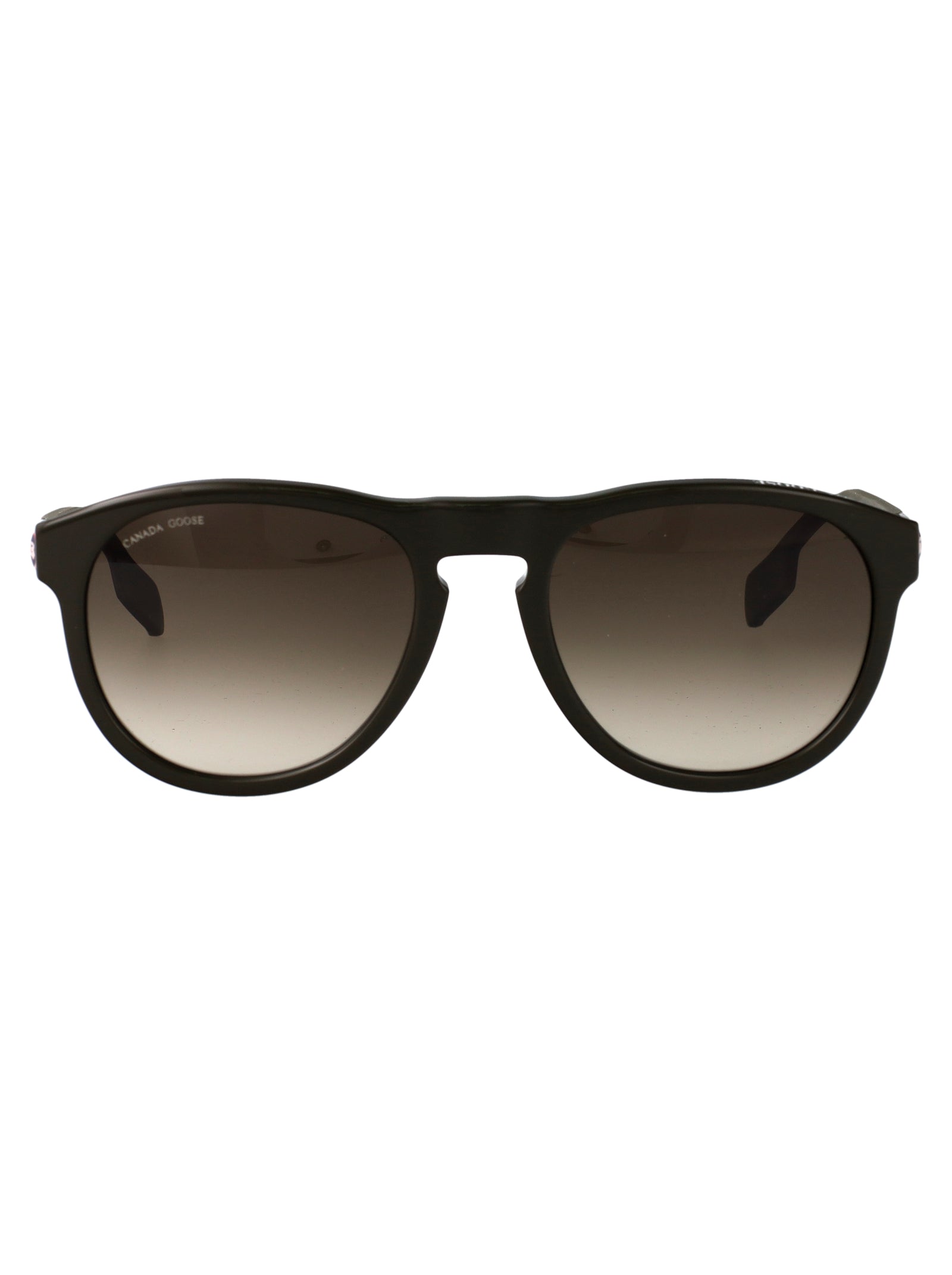 Medium Green 6 Acetate Sunglasses