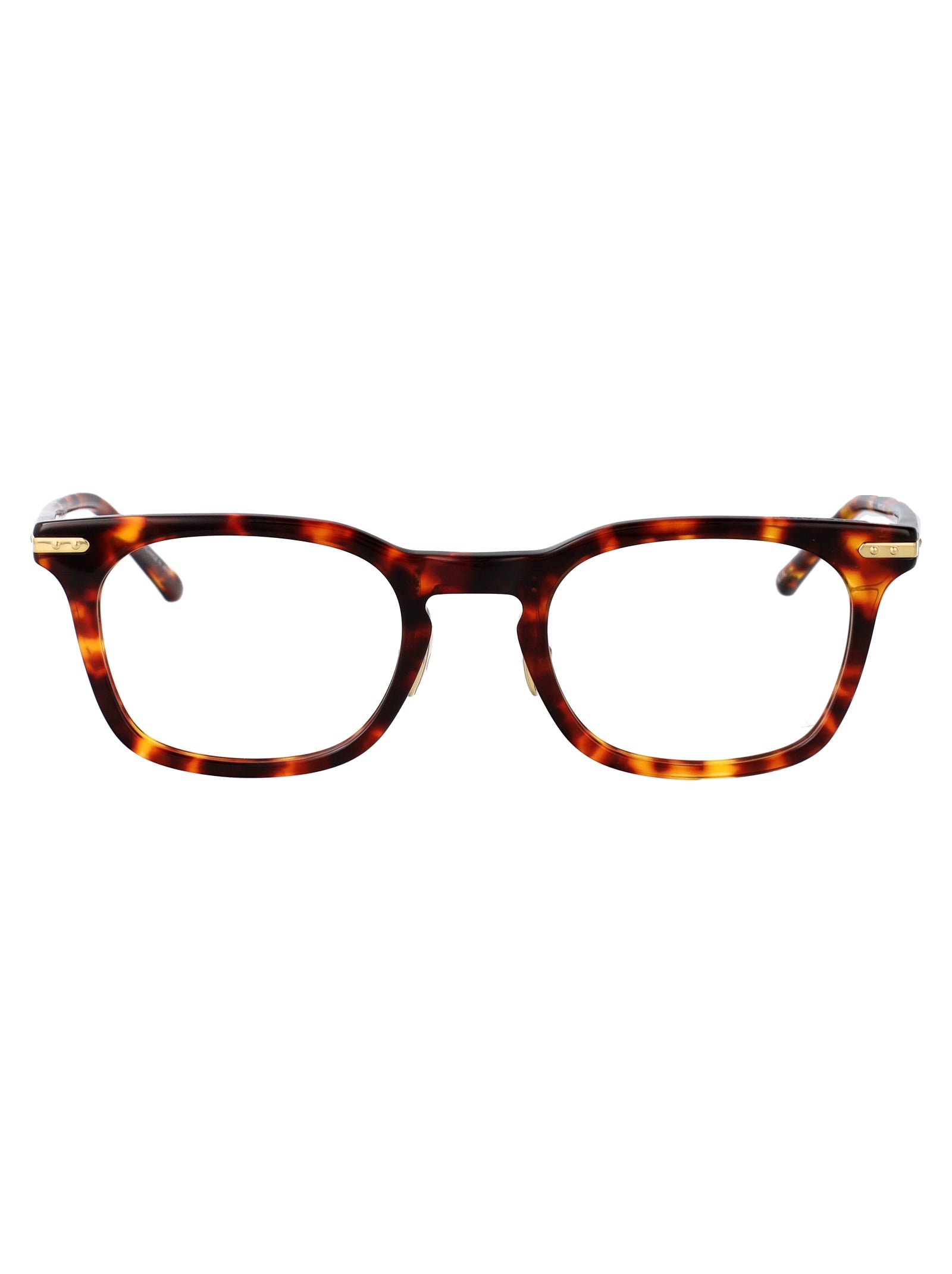 Darkt-Shell/Lightgold/ Acetate Glasses